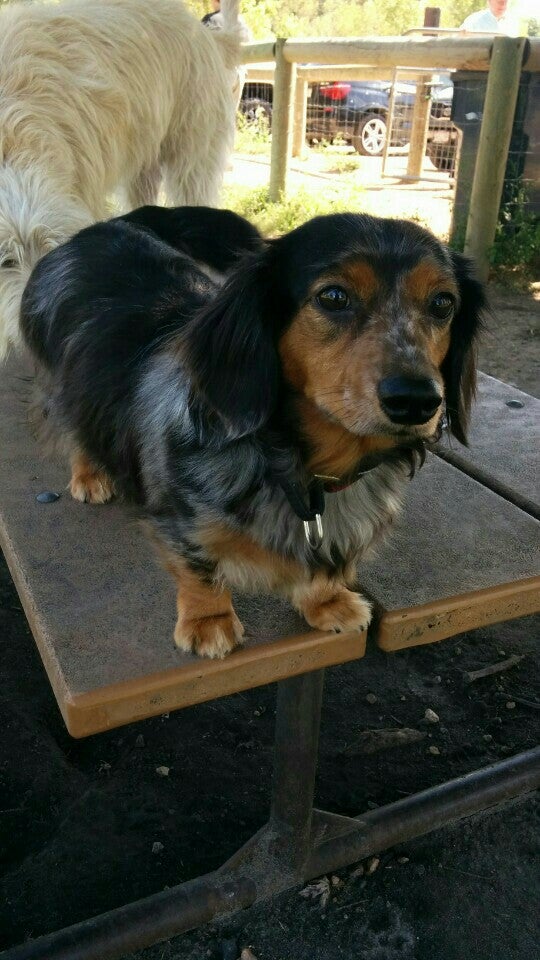 Lake Sarah Regional Park, 6670 W Lake Sarah Dr, Greenfield, MN, Parks