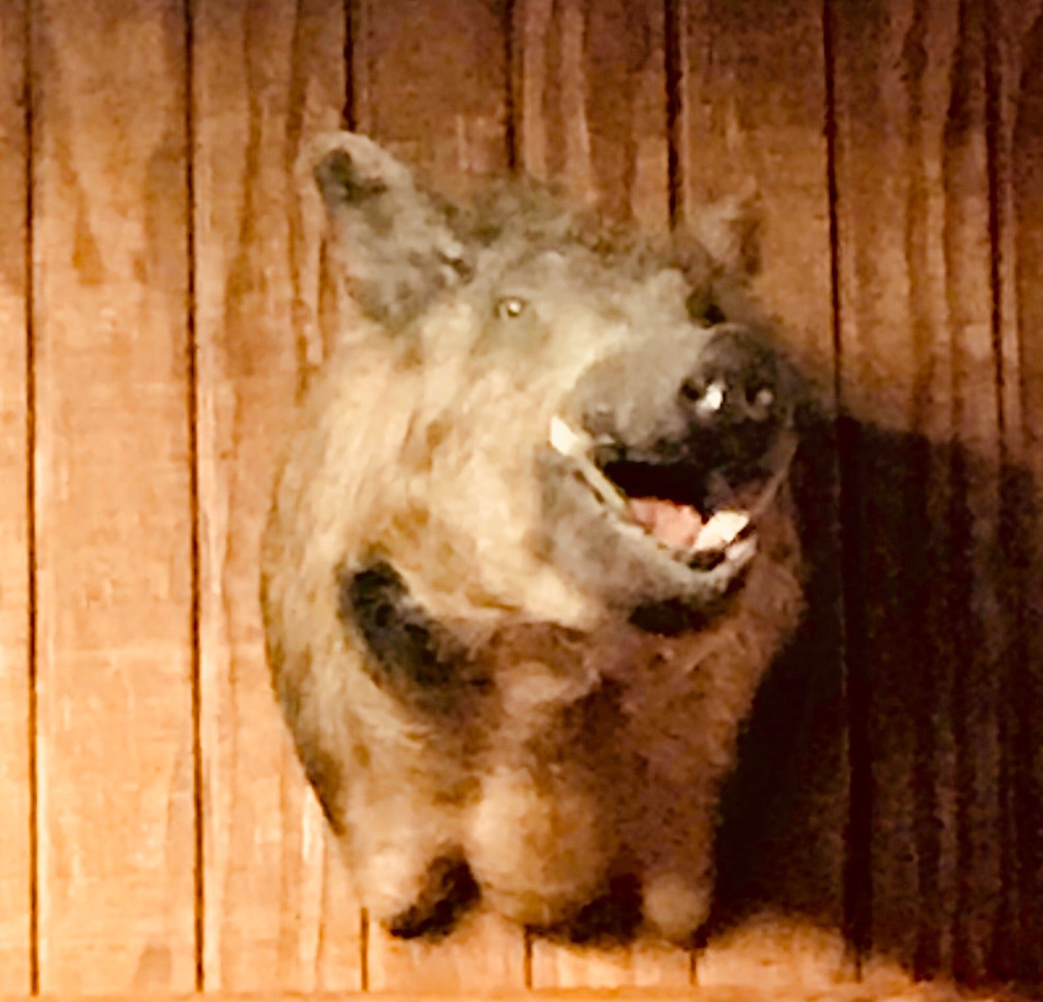 Glennville, GA Map & Directions MapQuest