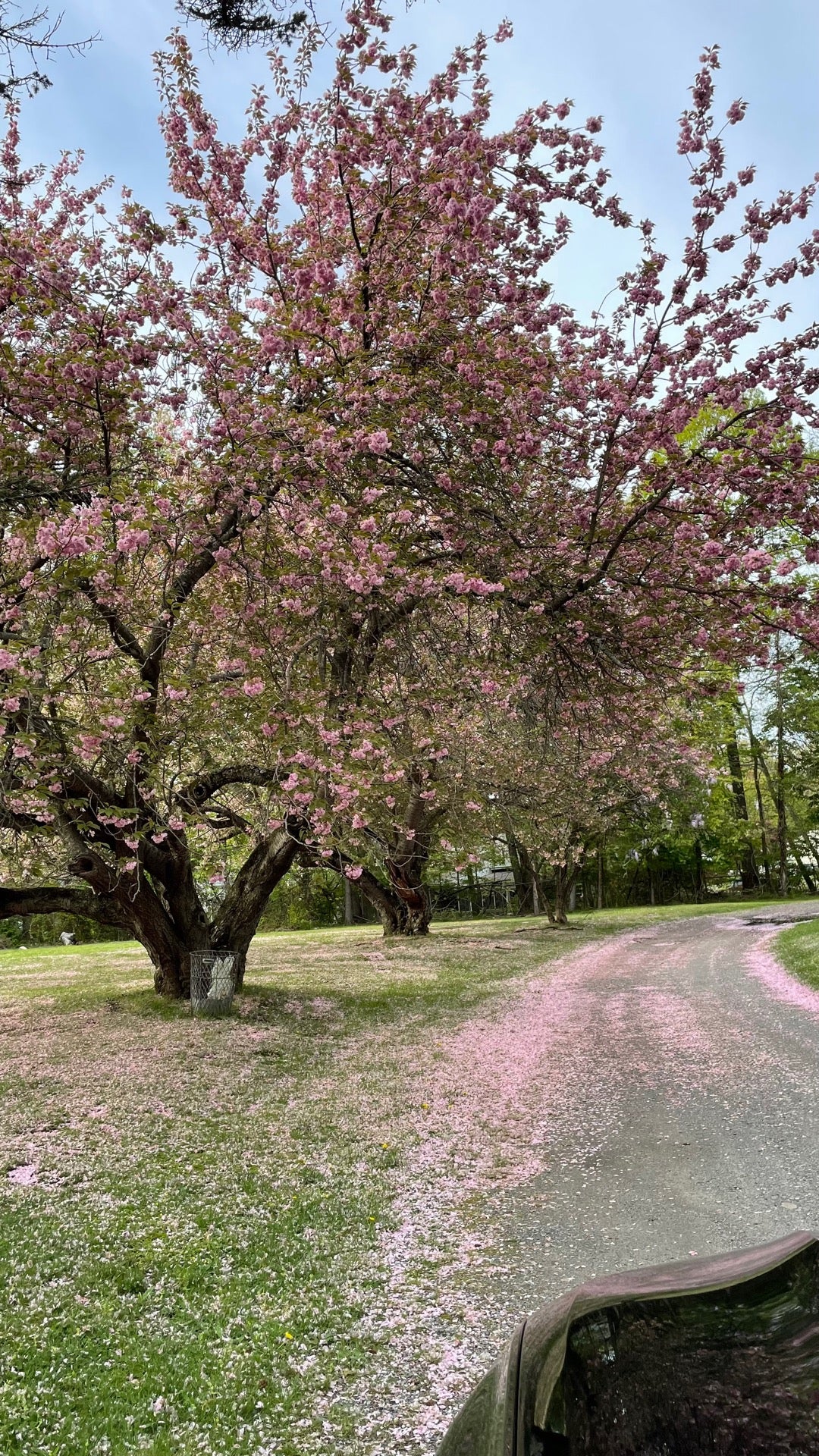 Fairfield Memorial Park Cemetery, 230 Oaklawn Ave, Stamford, CT MapQuest