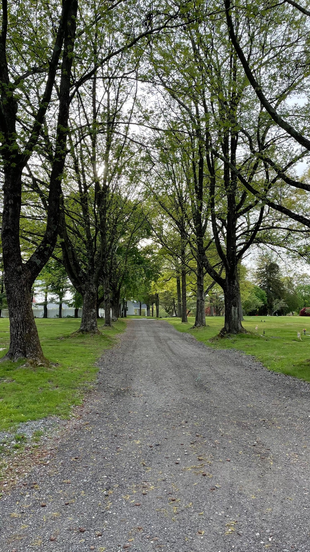 Fairfield Memorial Park Cemetery, 230 Oaklawn Ave, Stamford, CT MapQuest