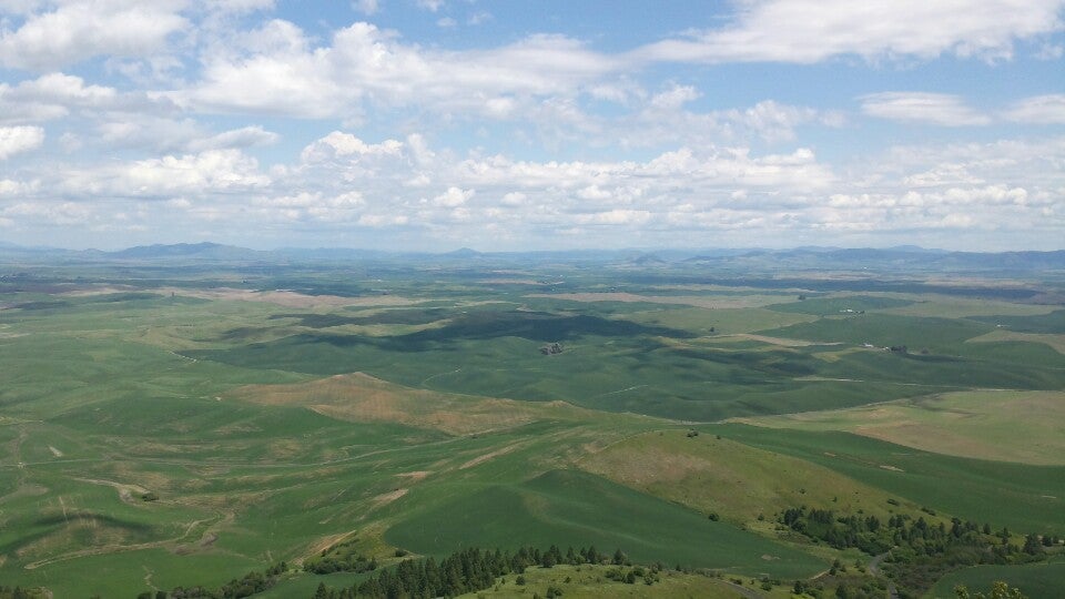 Steptoe Butte State Park, Milepost 72 Hume Road, Colfax, WA, Parks