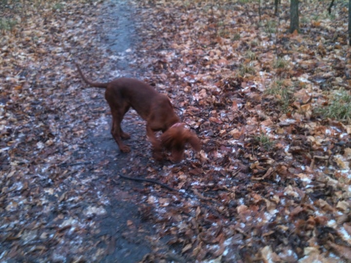 Brasher Falls, NY Map & Directions MapQuest