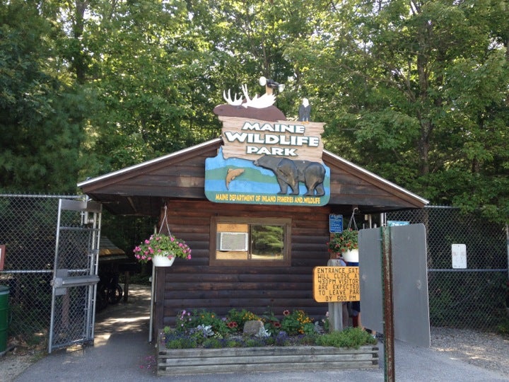 Maine Wildlife Park: Maine Dept of Inland Fisheries and Wildlife