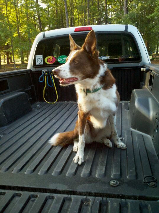 Kiwanis Family Park and Greenway, Sanford, NC MapQuest