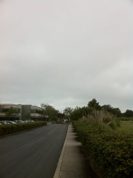 Abbott Diabetes Care, 1360 S Loop Rd, Alameda, CA, Physicians