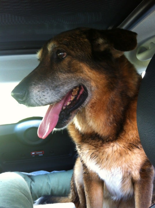 Newberry, FL Map & Directions MapQuest