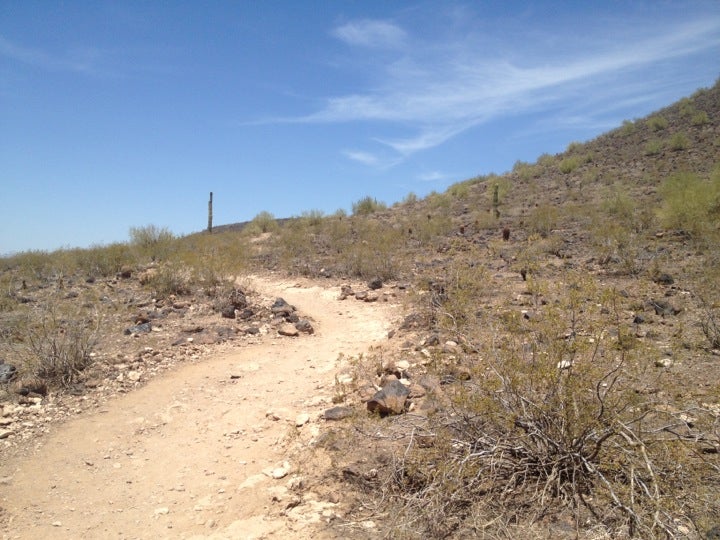 Thunderbird Conservation Park, 22600 N 59TH Ave, Glendale, AZ, Parks