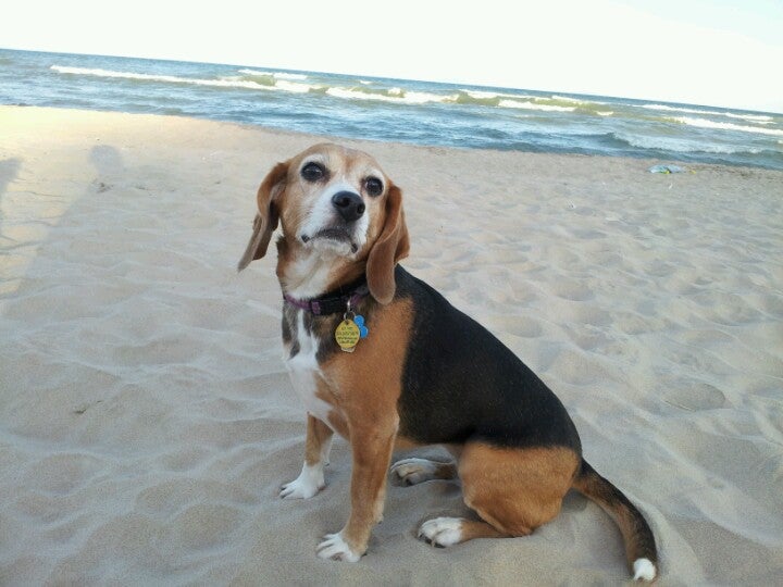 Oostburg, WI Map & Directions MapQuest