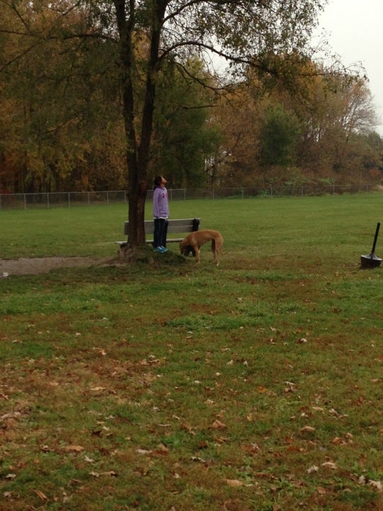 Clinton Township Dog Park