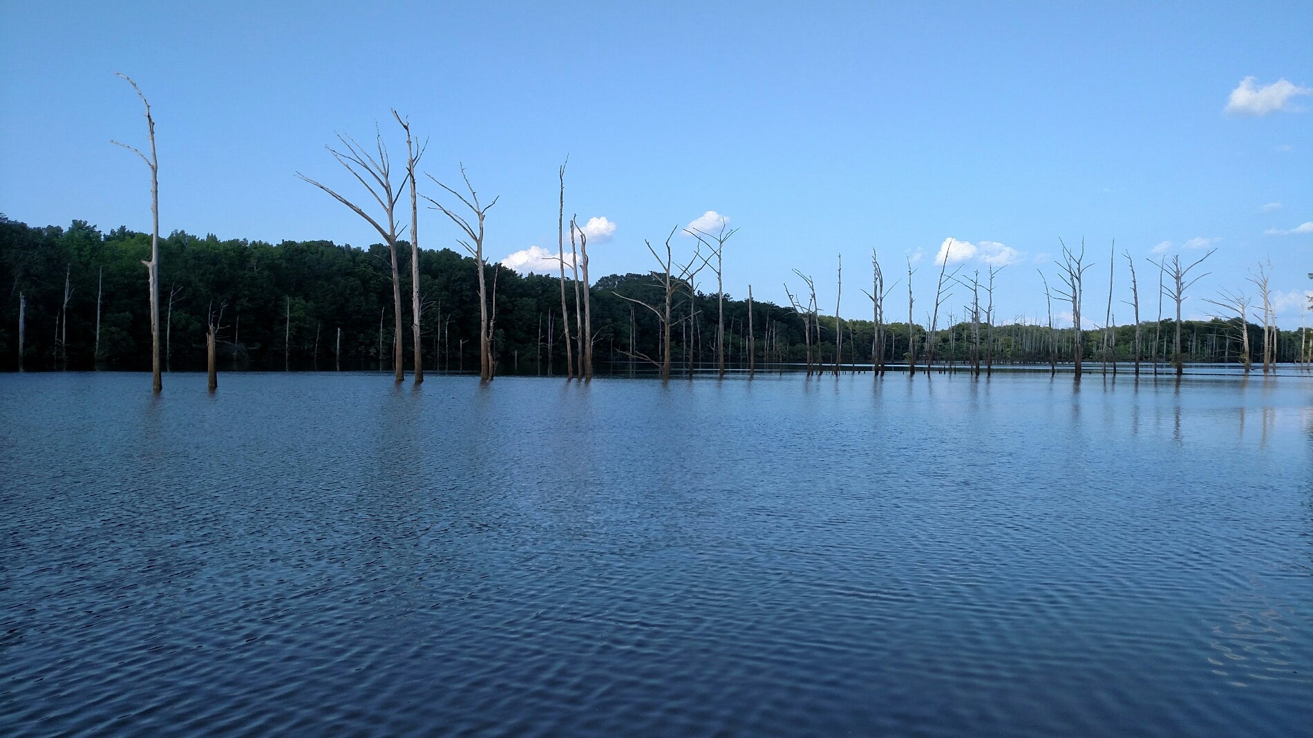 Jackson Lake Island, Cypress Lane, Millbrook, Al - Mapquest