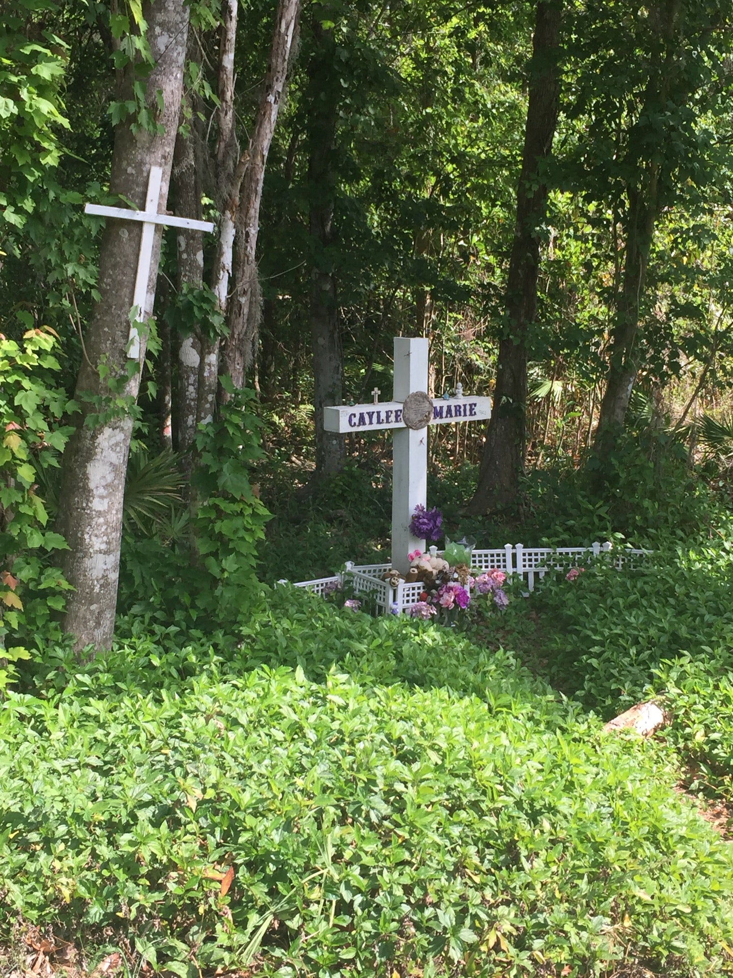 Caylee Marie Anthony Memorial, Suburban Dr, Orlando, FL - MapQuest
