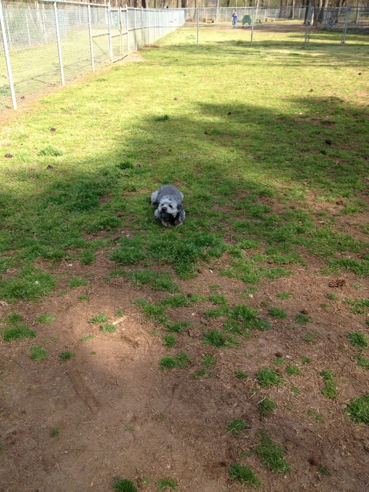 Ronald Regan Park Dog Park, Lawrenceville, GA MapQuest