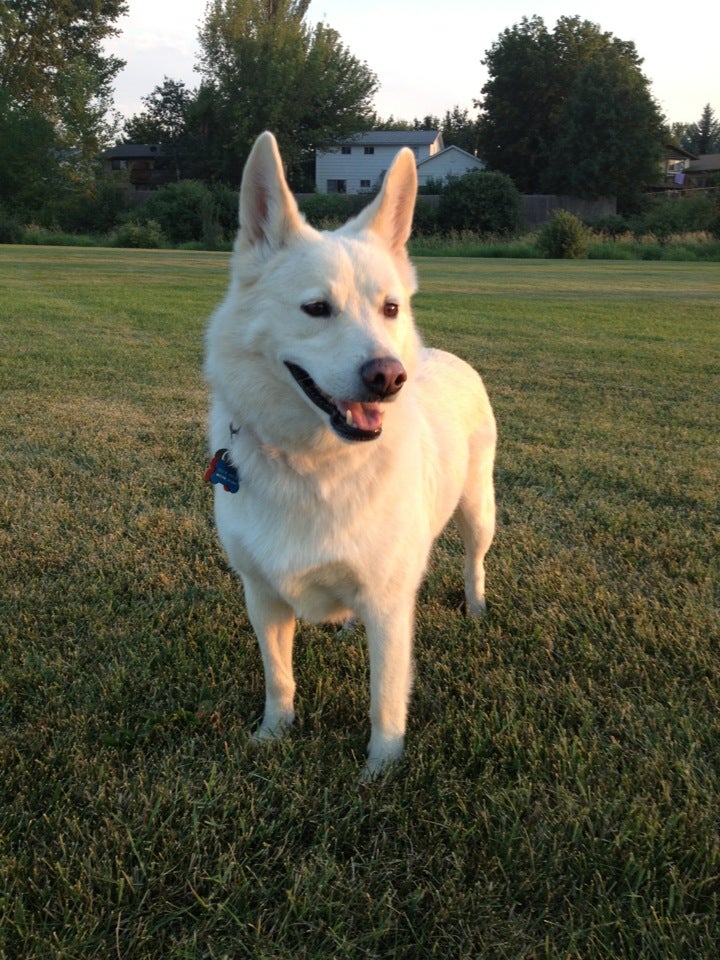 Deary, ID Map & Directions MapQuest