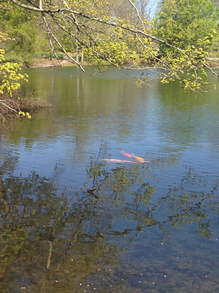 Citi Lake, Erlanger, KY, Lake - MapQuest