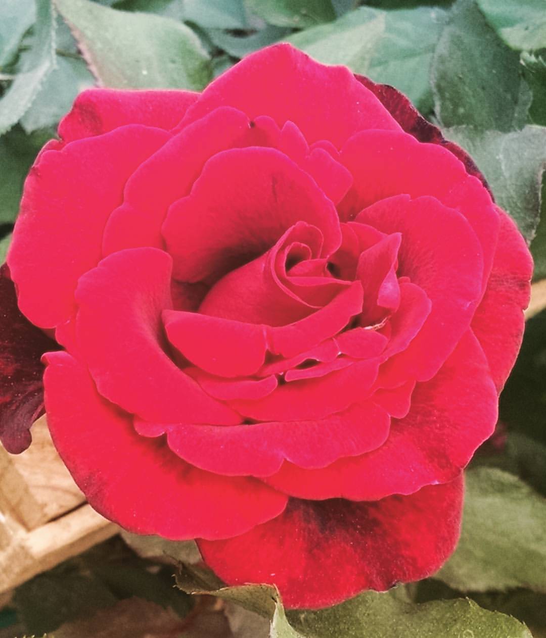 Danbury, TX Map & Directions MapQuest