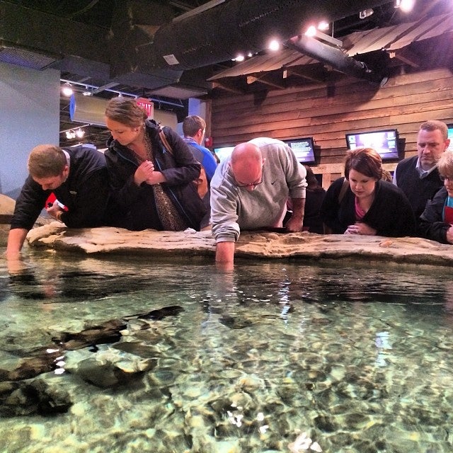 Hickory, NC Map & Directions MapQuest