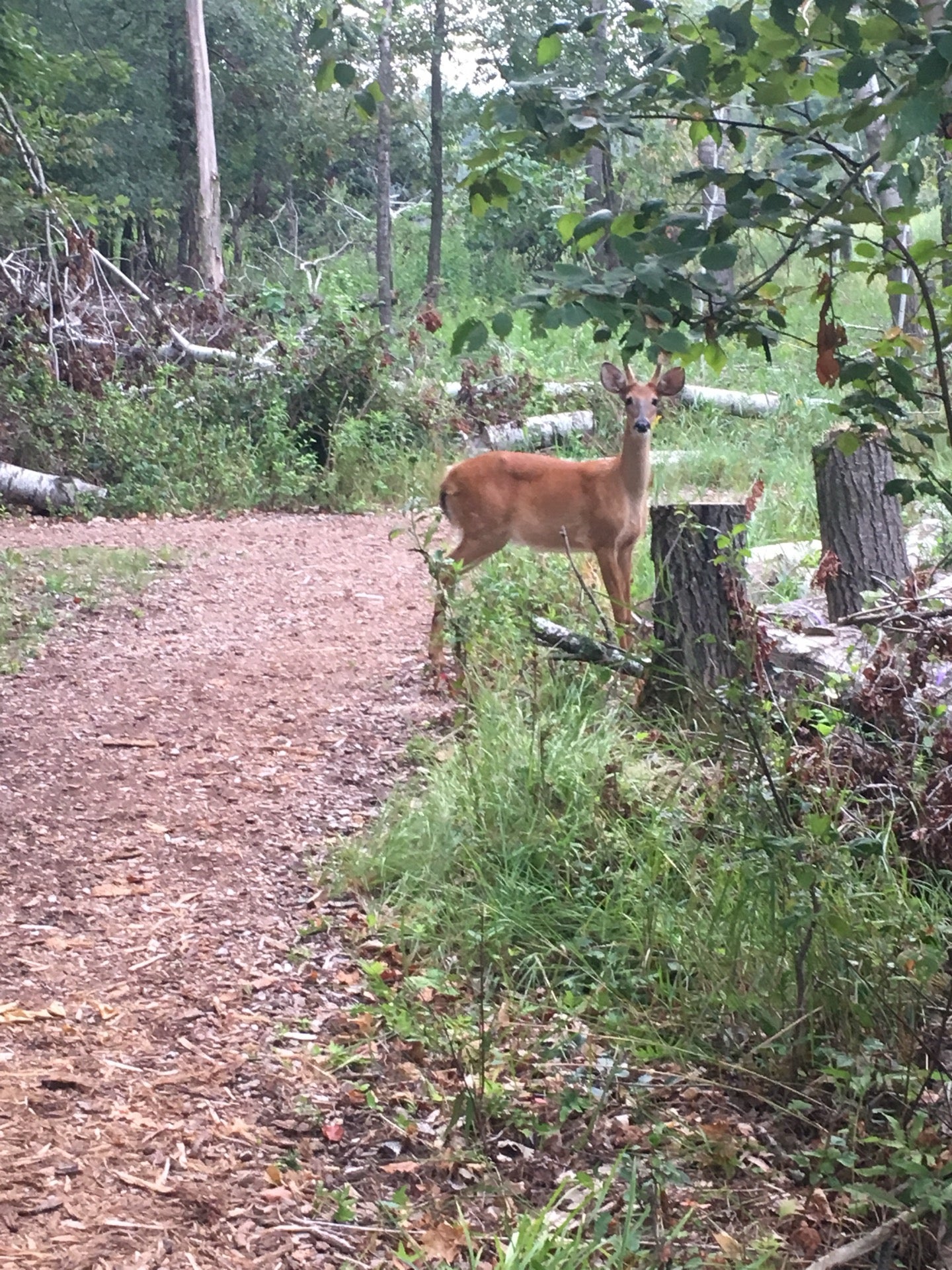 Schmeeckle Reserve, Simonis St, Stevens Point, WI, Outdoor Sports ...