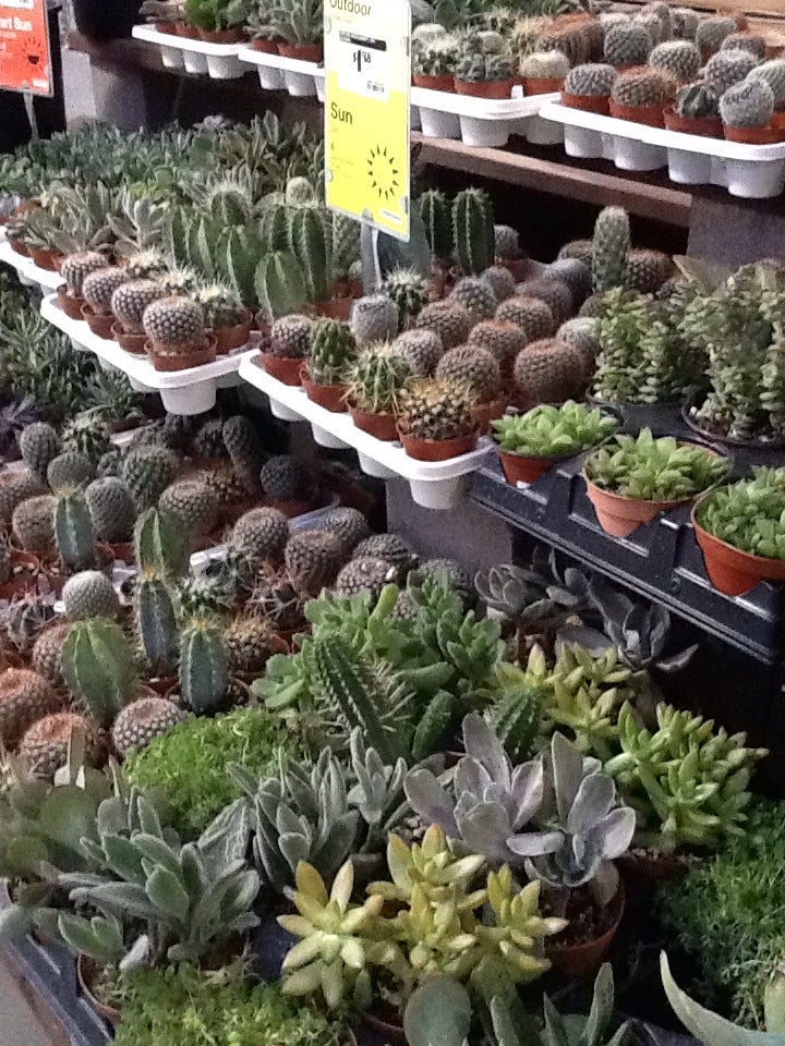 The Home Depot, 13760 W Bell Rd, Surprise, AZ, Hardware Stores MapQuest