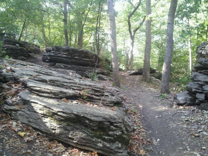 Swope park best sale mountain bike trail