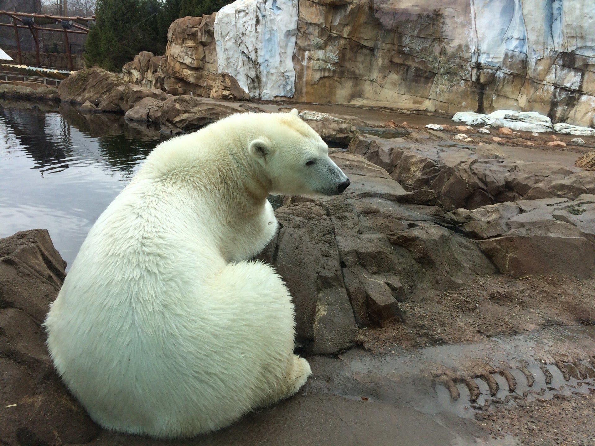 Louisville Zoo, 1100 Trevilian Way, Louisville, Kentucky, Zoos MapQuest