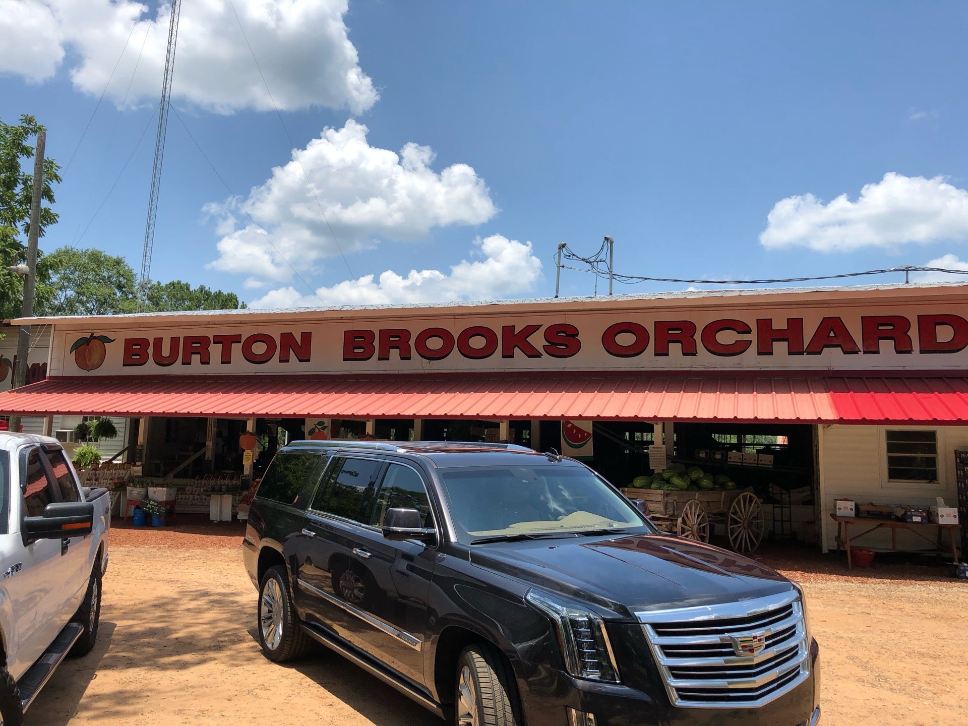 Burton Brooks Peach Orchard Adel Hwy Barney GA MapQuest