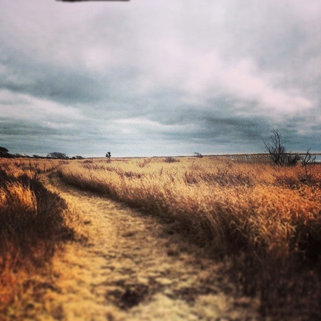 Quansoo Beach, Quansoo Rd, Chilmark, Town of, MA MapQuest