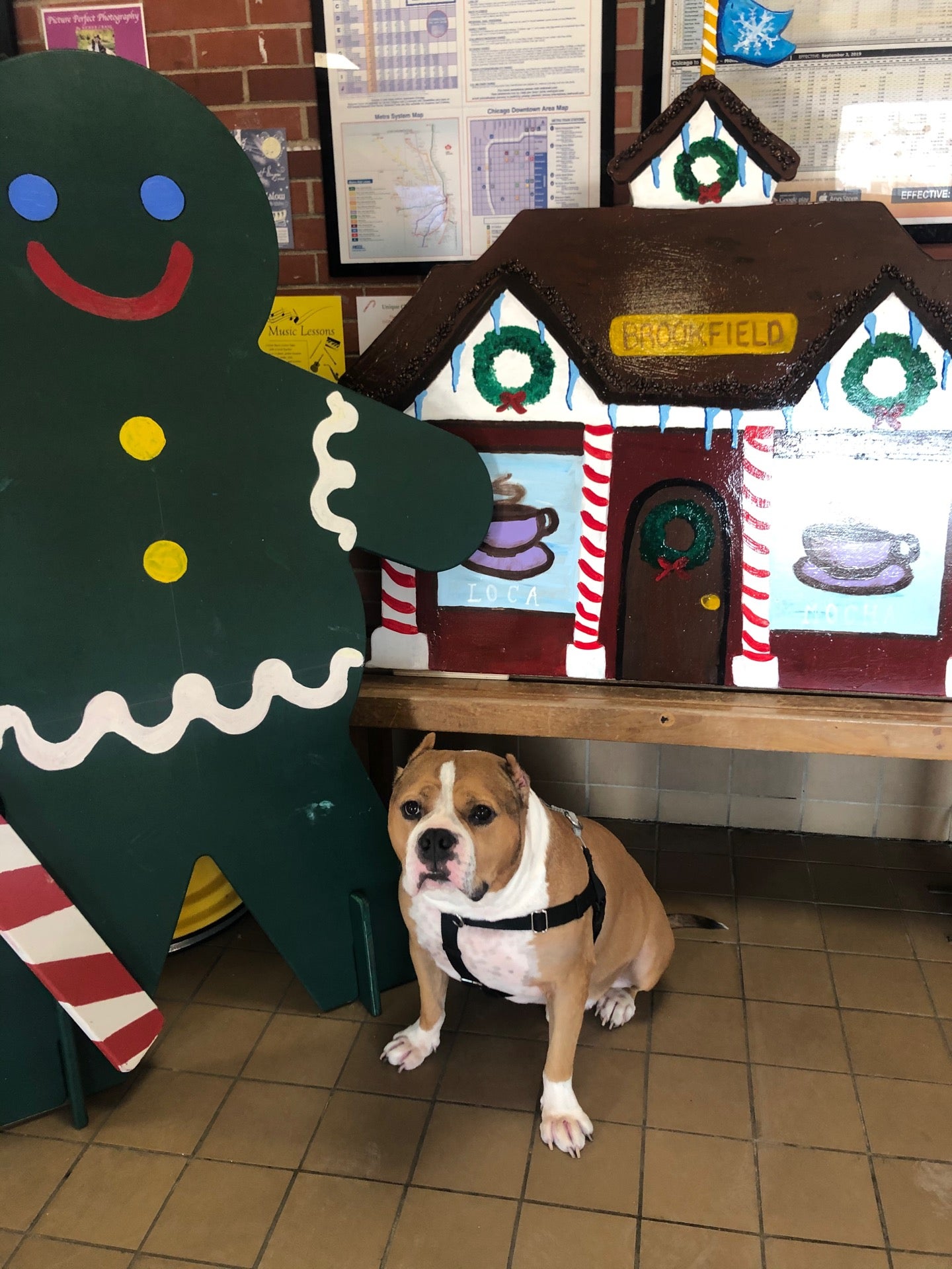 Brookfield, IL Map & Directions MapQuest