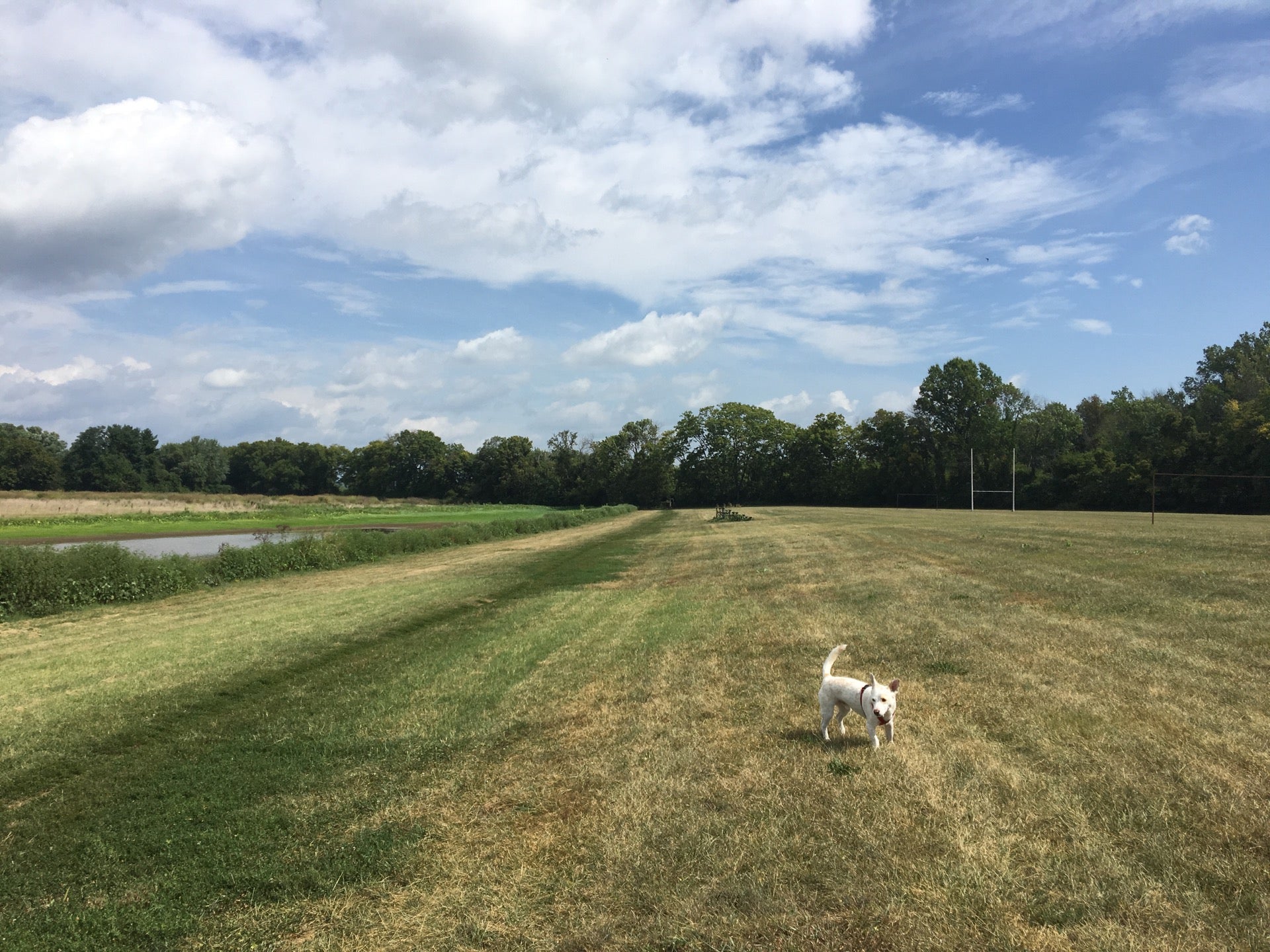 Prospect, KY Map & Directions MapQuest