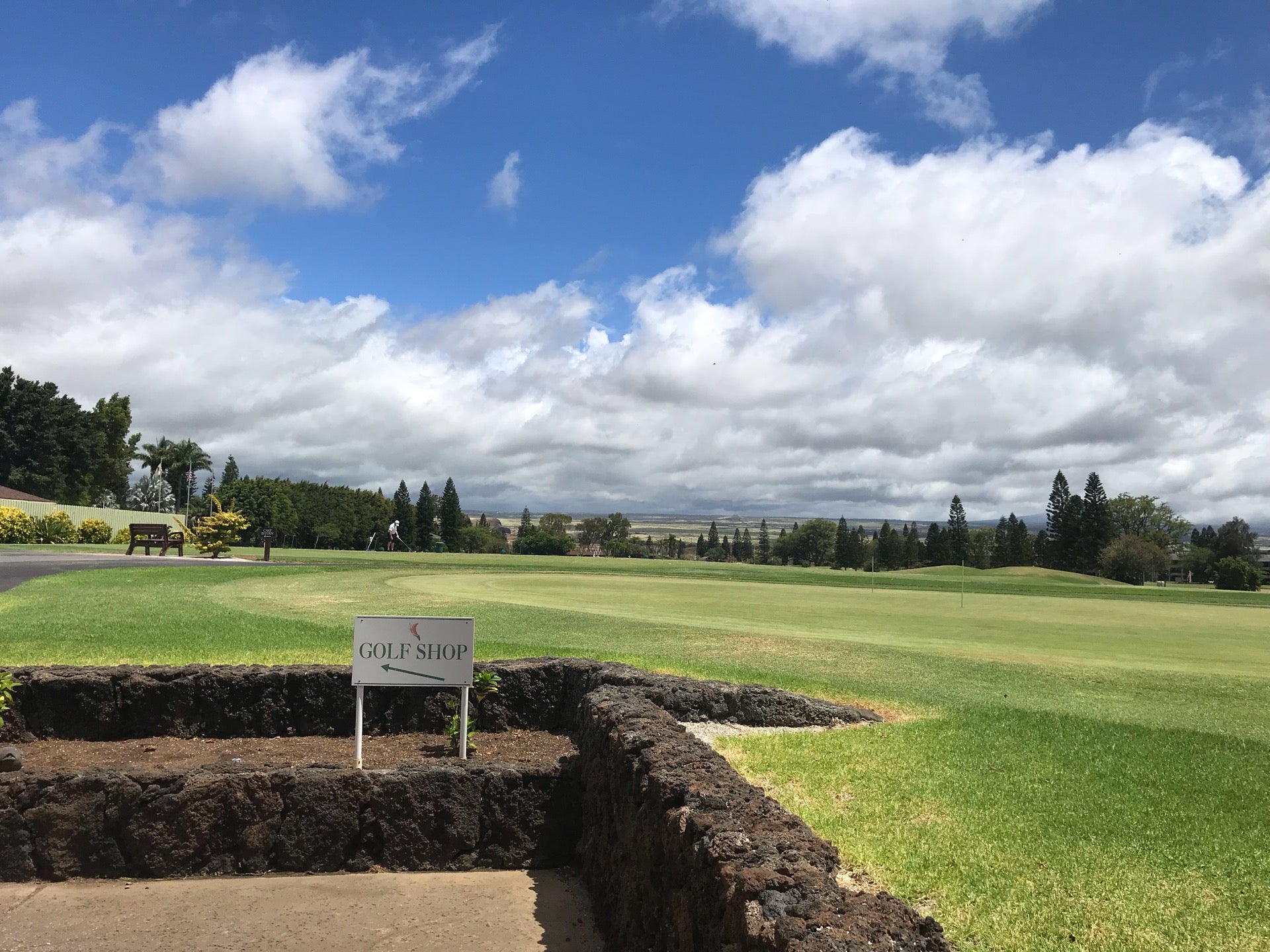 Waikoloa Village Golf Course 14th Fairway, 683890 Paniolo Ave