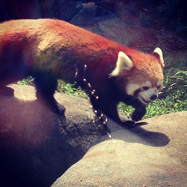 Carolina SciQuarium, 4301 Lawndale Dr, Greensboro, NC, Aquariums Public