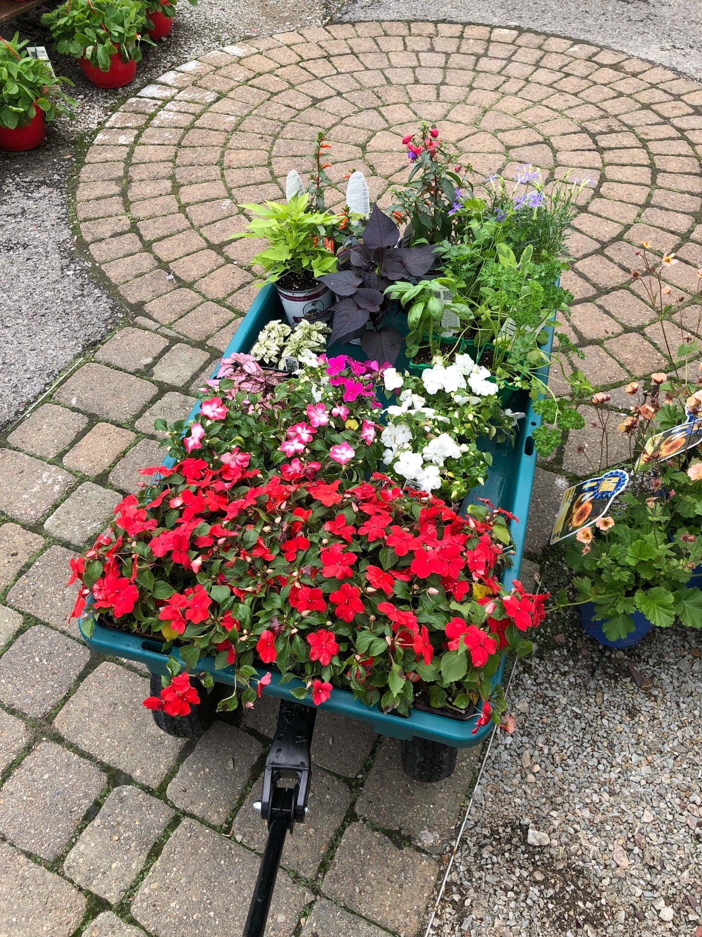 Martins Flowers & Shrubs, 5045 State Route 51 N, Belle Vernon, PA