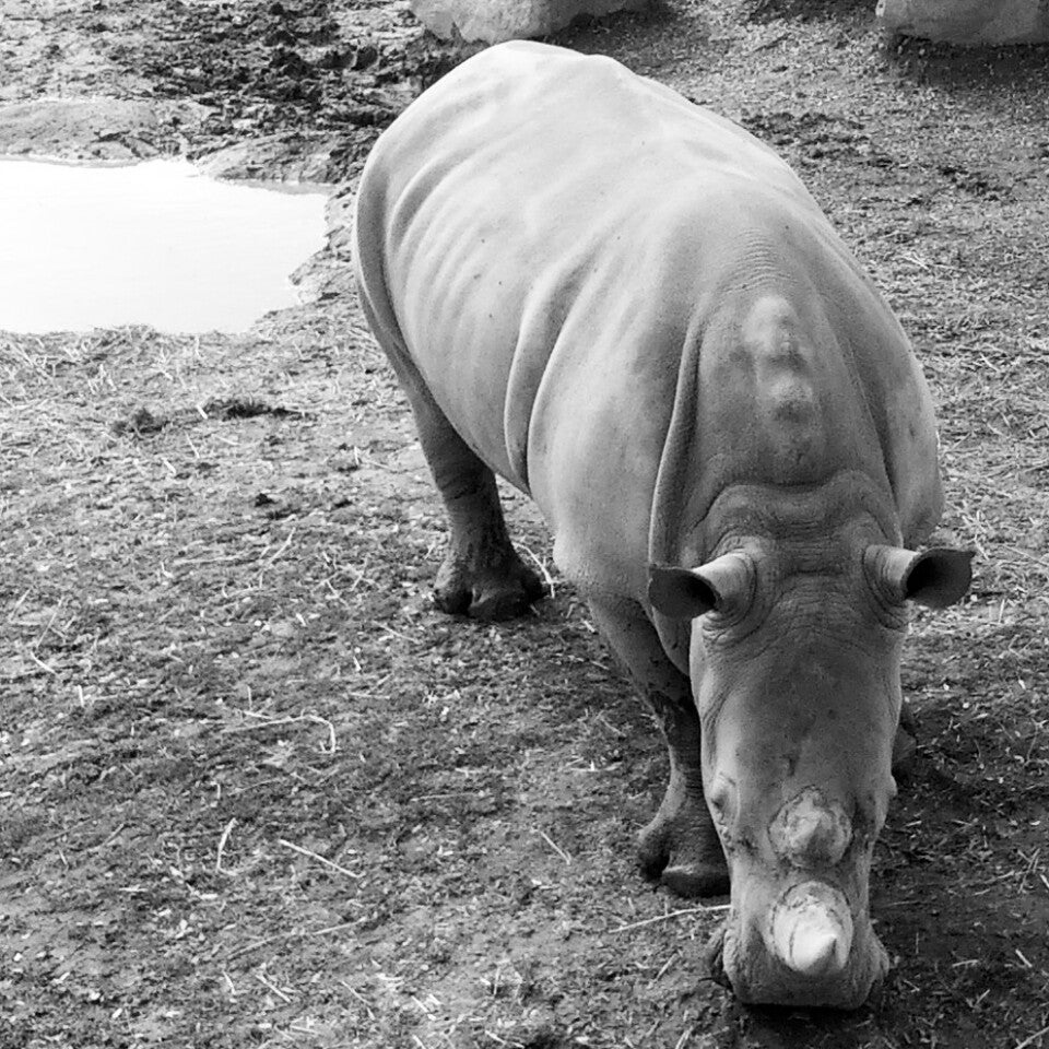 Toronto Zoo, 2000 Meadowvale Rd, Toronto, ON MapQuest