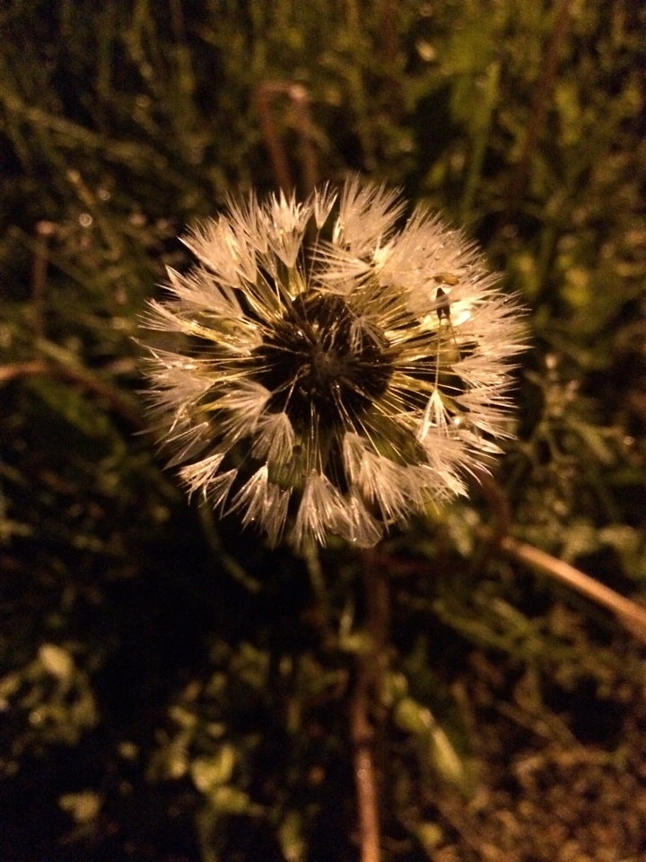 Andover, NJ Map & Directions MapQuest