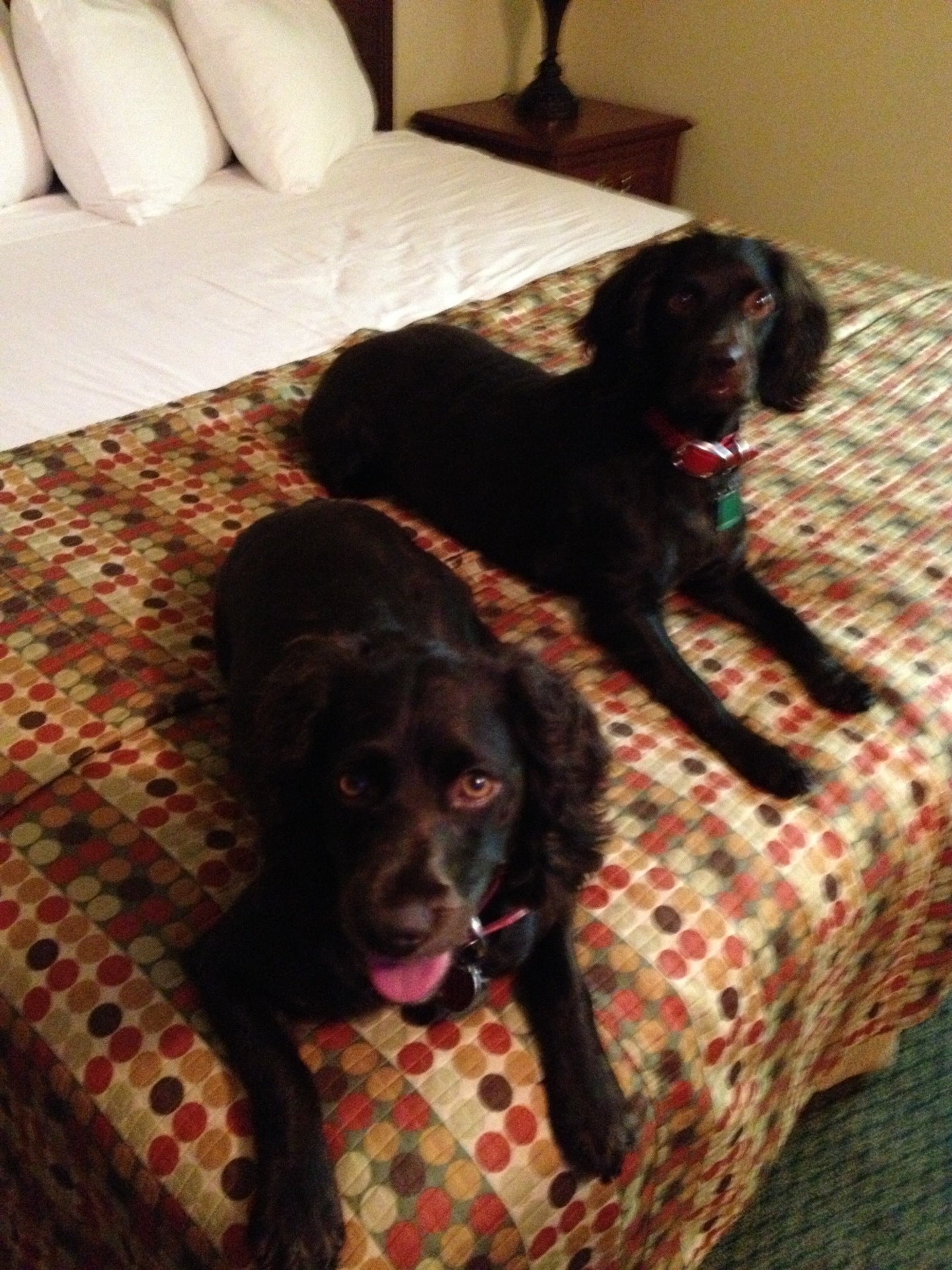 Waynesboro, GA Map & Directions MapQuest