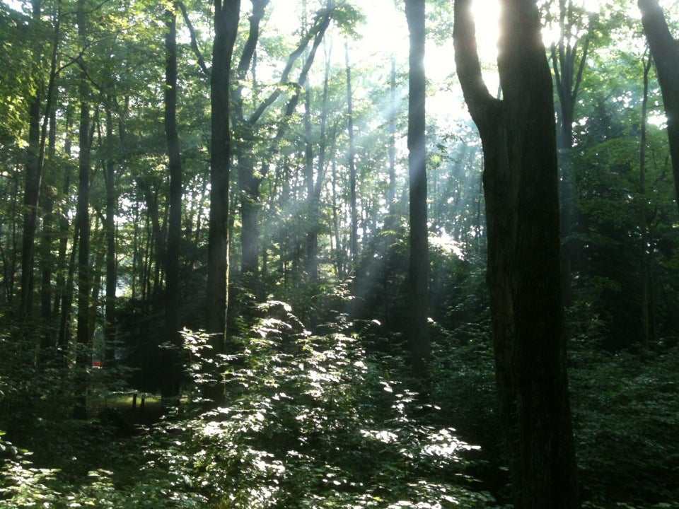 Prince Gallitzin State Park, 966 Marina Rd, Patton, PA, Parks MapQuest