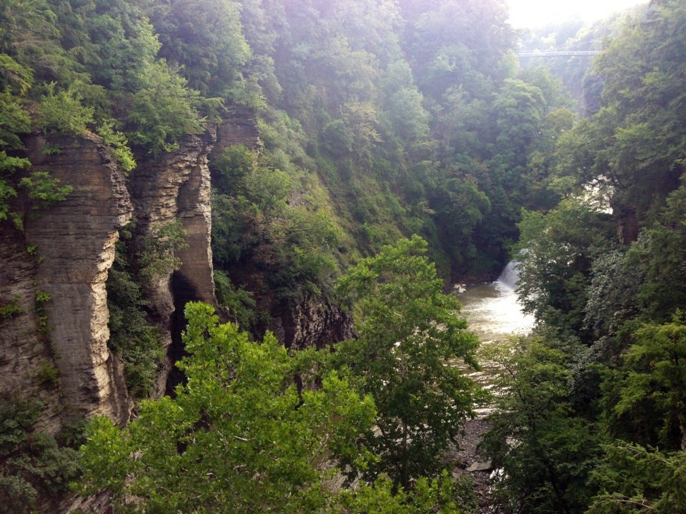 Fall Creek Suspension Bridge, Fall Creek Dr, Ithaca, NY, Trail