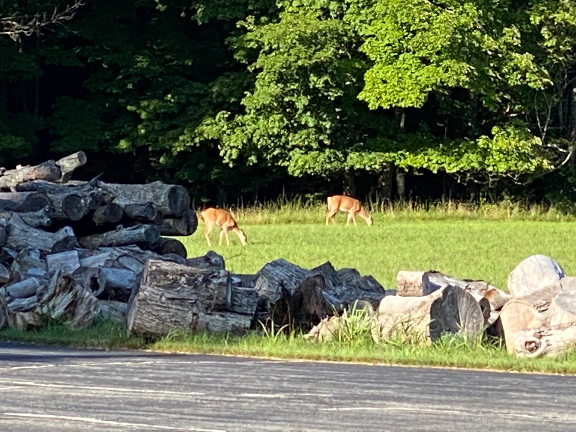 Jehovah Witnesses Watchtower Complex, 900 Red Mills Rd, Wallkill, NY