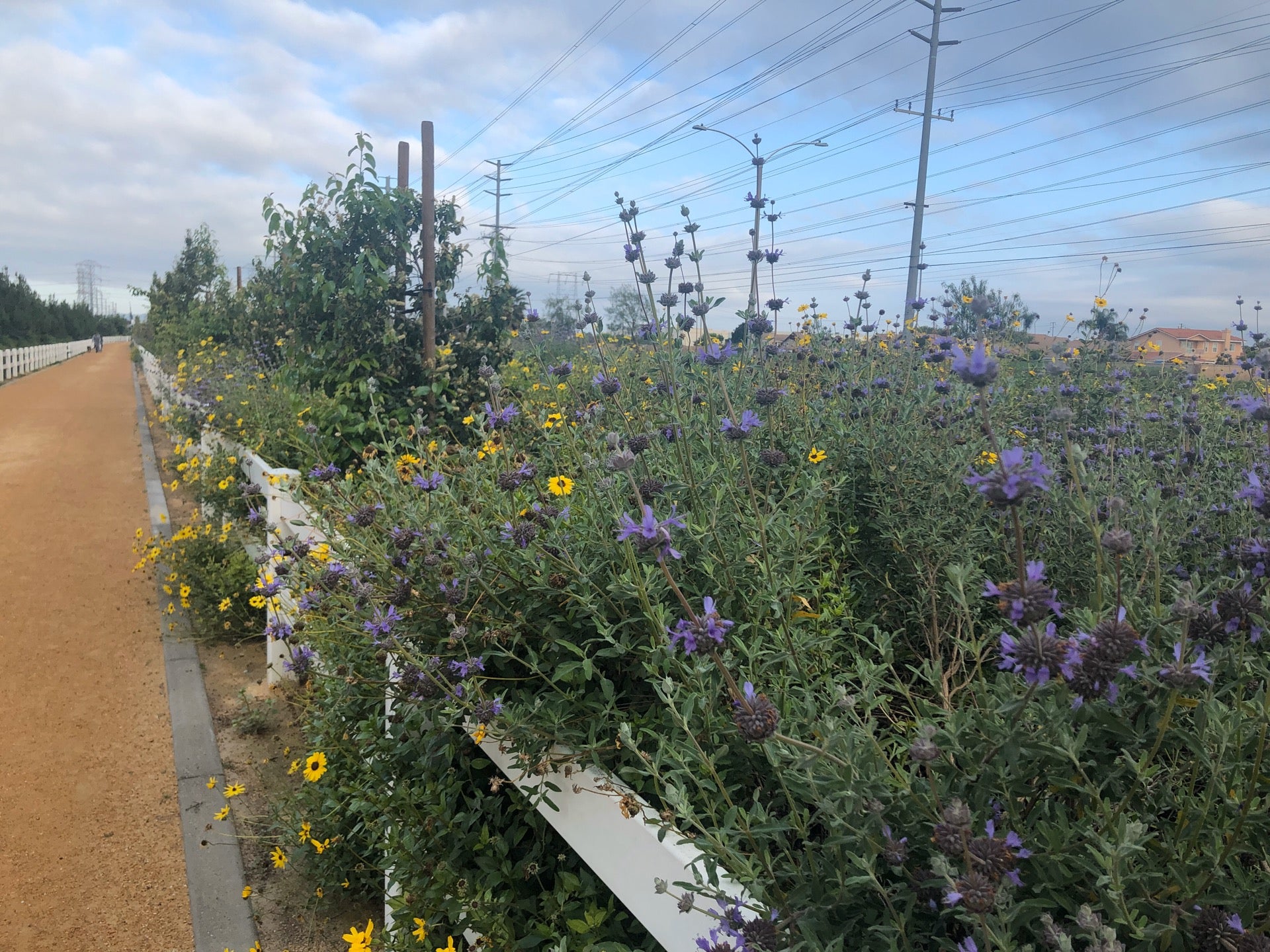 Olympic Park, Chino, CA, Parks MapQuest