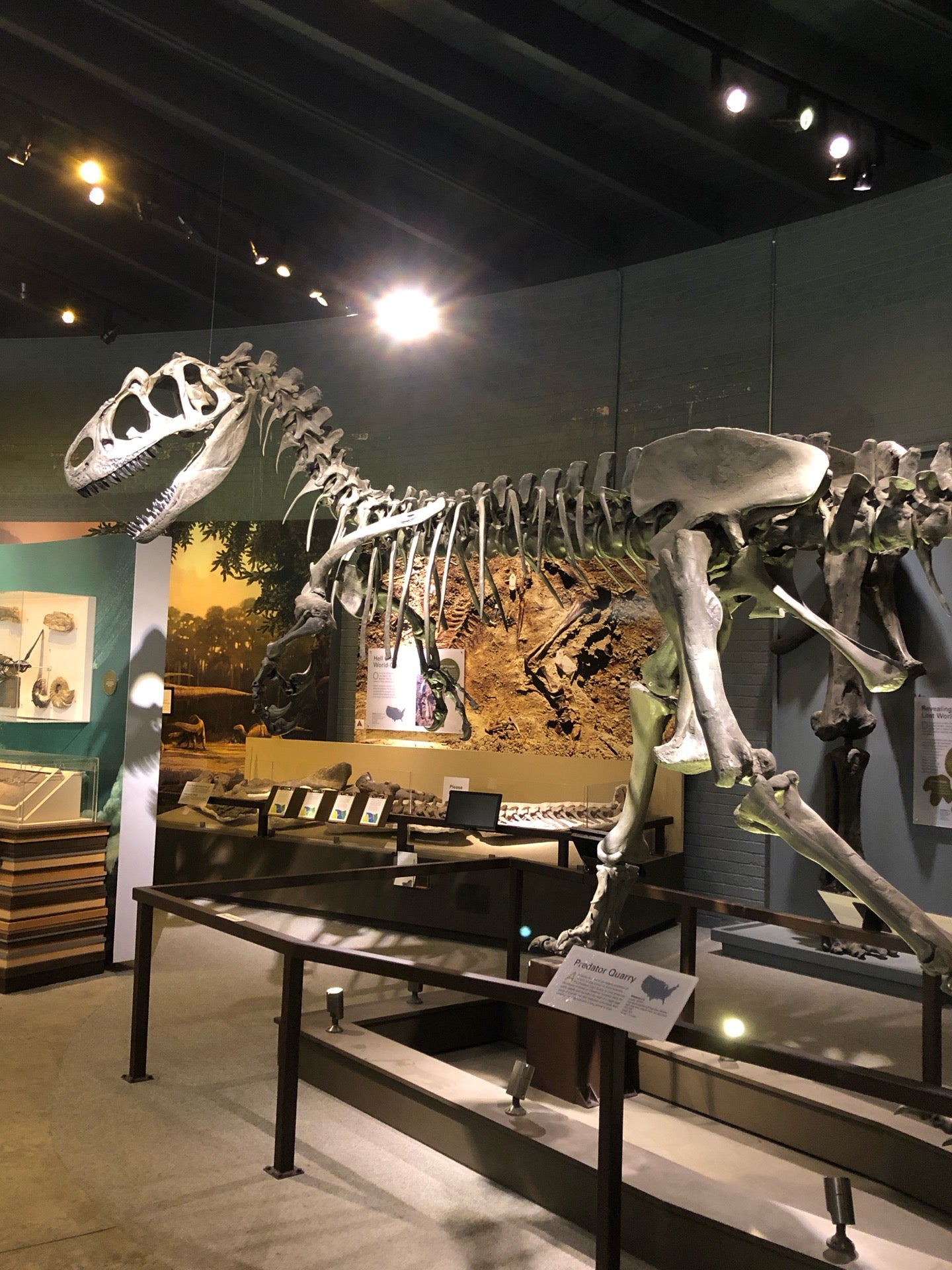 Raymon M Alf Museum of Paleontology, 1175 W Baseline Rd, Claremont, CA ...