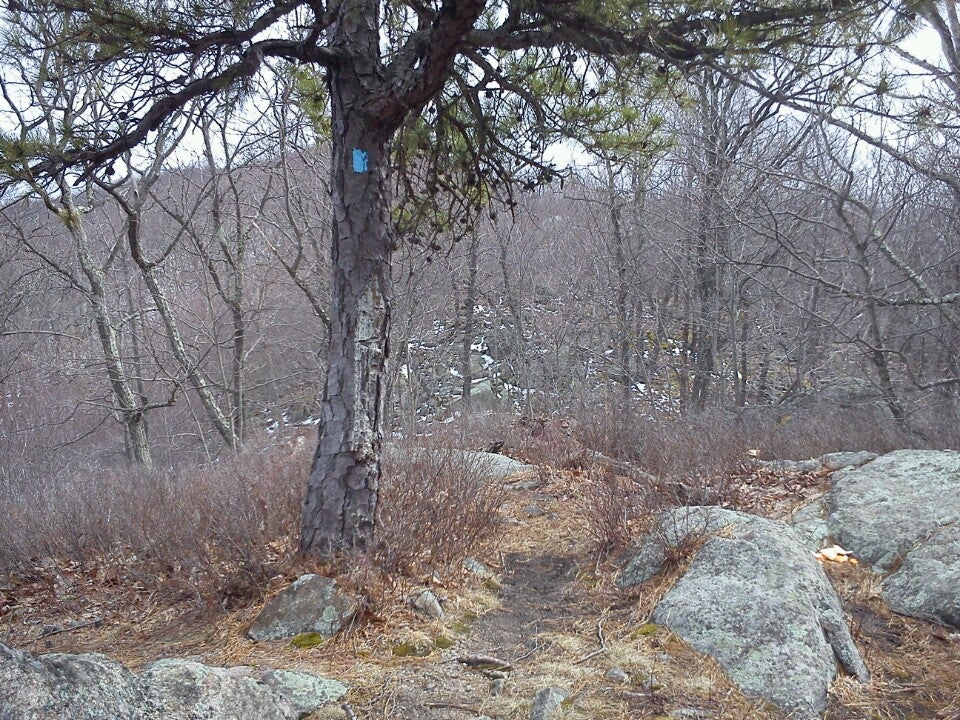 Tomkins Cove, NY Map & Directions MapQuest