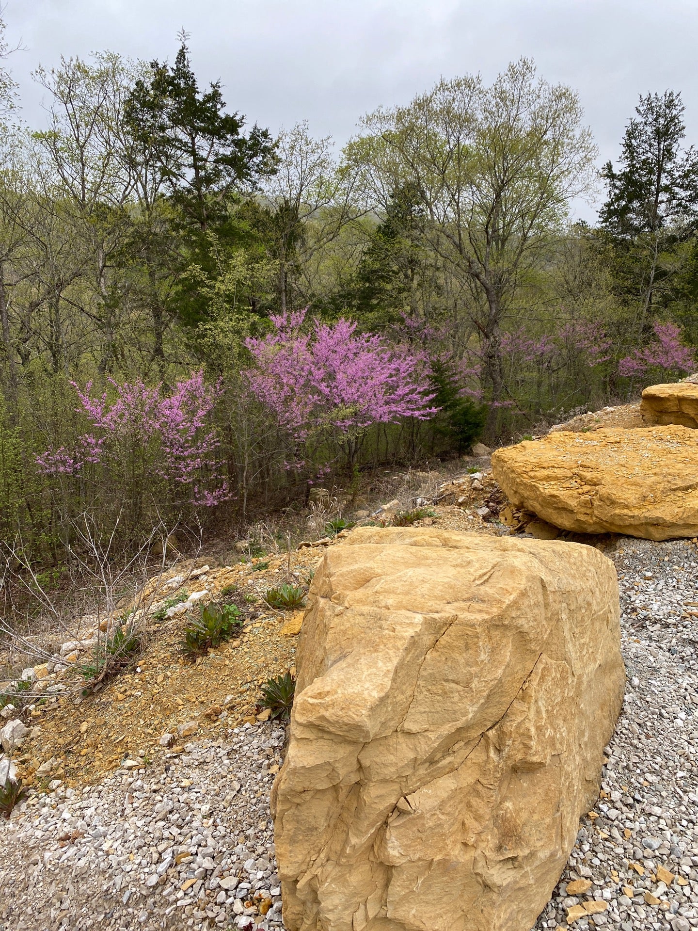 Robertsville, MO Map & Directions MapQuest