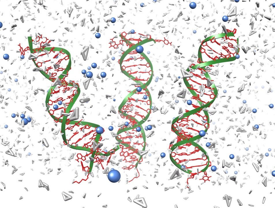 Labcorp, 1904 Tw Alexander Dr, Durham, NC MapQuest