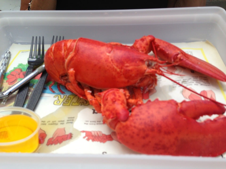 Alive and Kicking Lobsters, 269 Putnam Ave, Cambridge, MA, Fish and
