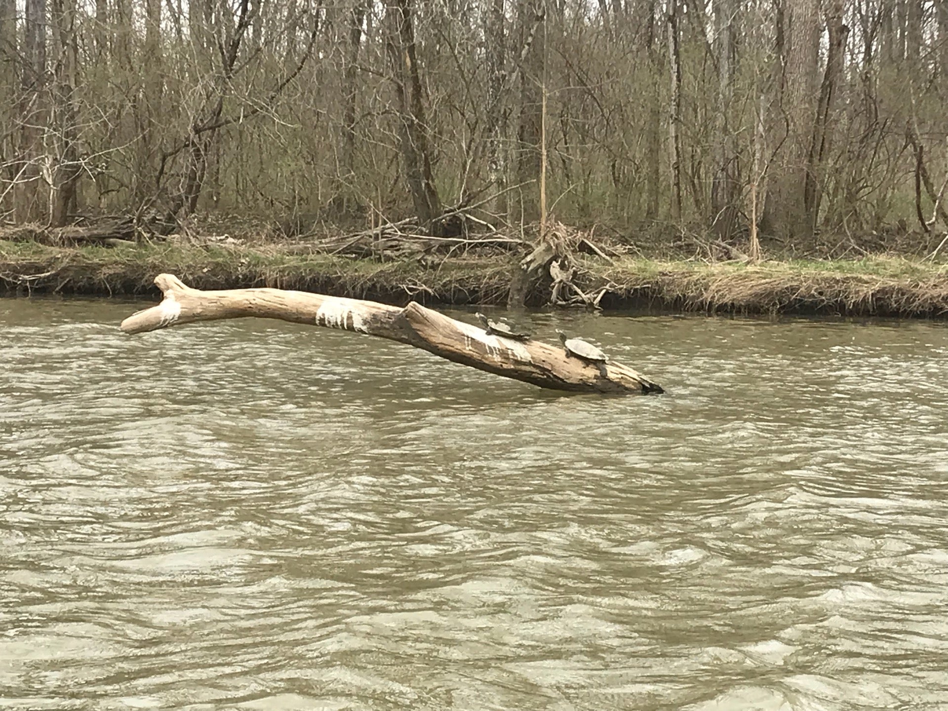 Klondike Park, Klondike Rd, Delaware, OH MapQuest