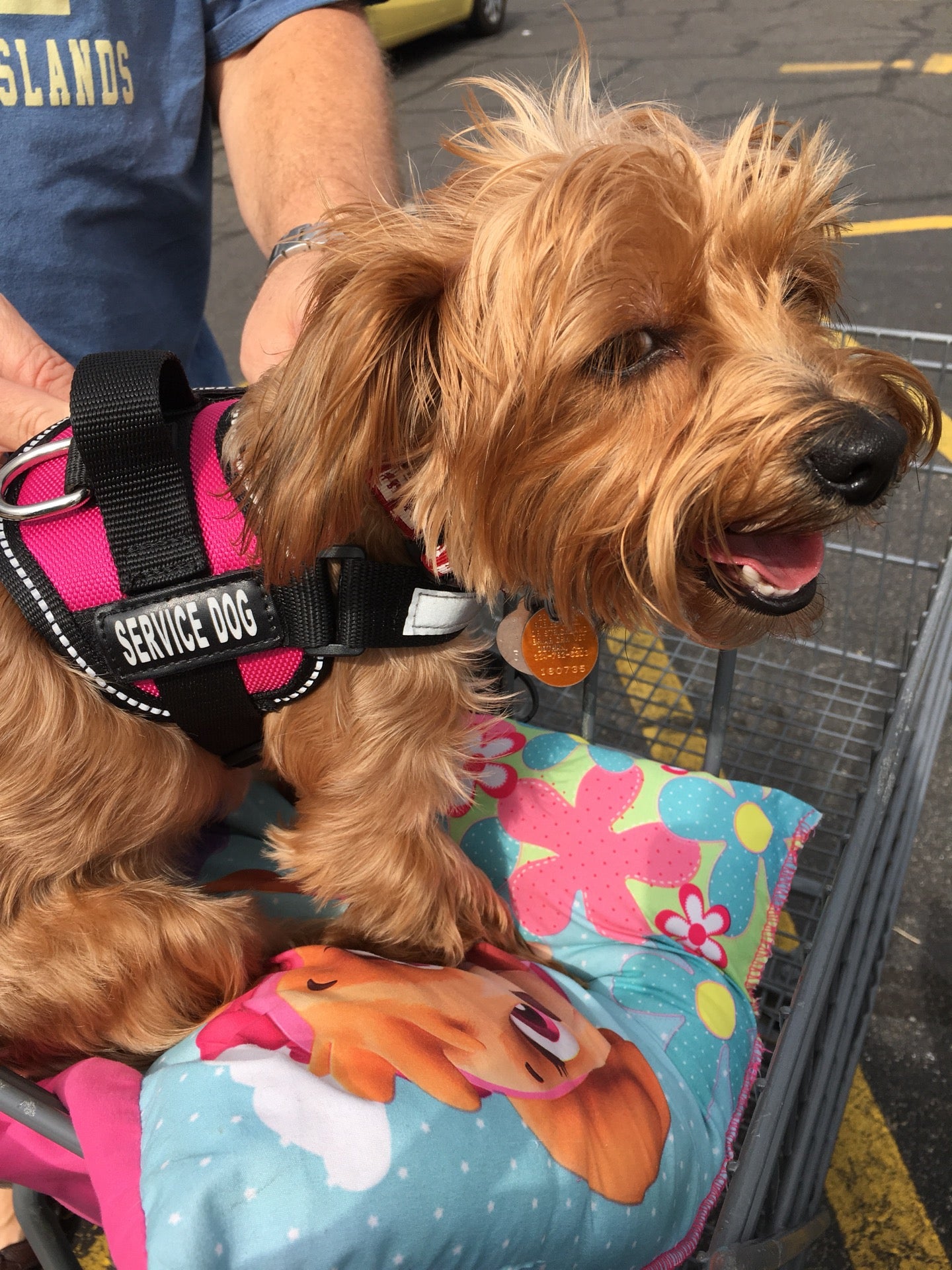 Rural King, 2185 Reeves St, Dothan, AL, Business consulting, nec MapQuest