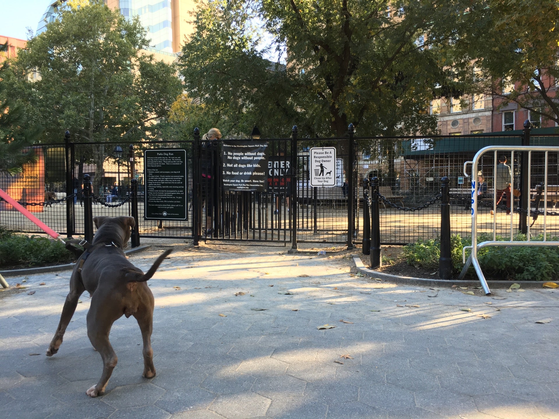 Dog Park, Washington Sq S, New York, NY, Parks MapQuest