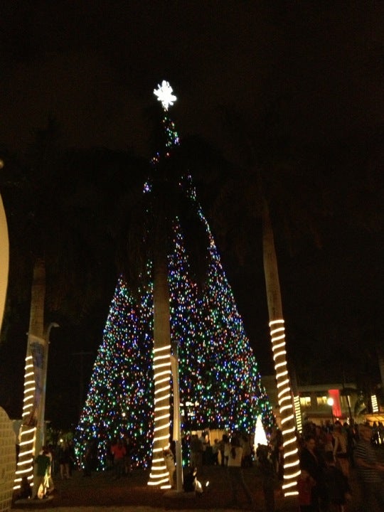 The 100 Foot Christmas Tree, 51 N Swinton Ave, Delray Beach, FL MapQuest