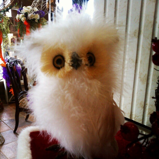 Sam's Florist, 54844 Van Dyke Ave, Shelby Township, MI, Florists MapQuest