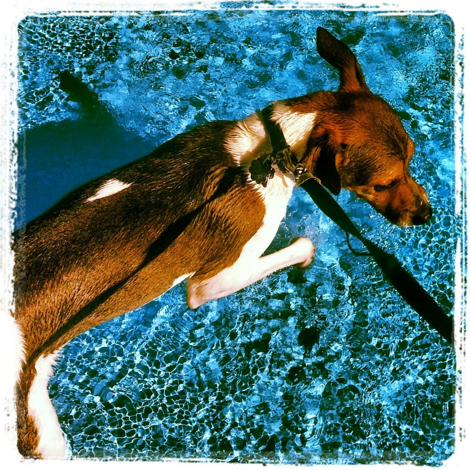 Teachout Aquatic Center, 2601 Hubbell Ave, Des Moines, IA, Swimming