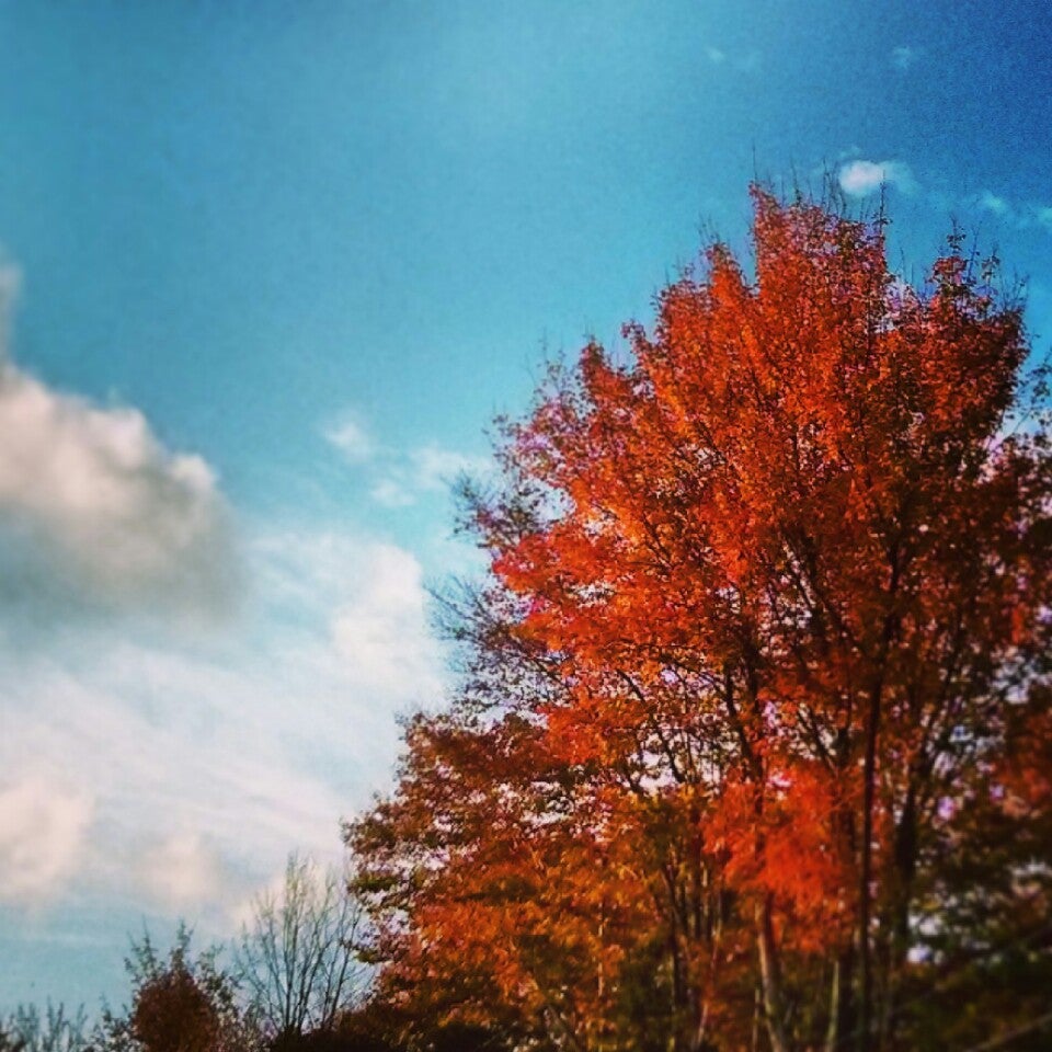 Arrowhead lakes arrowhead drive pocono lake pa mapquest